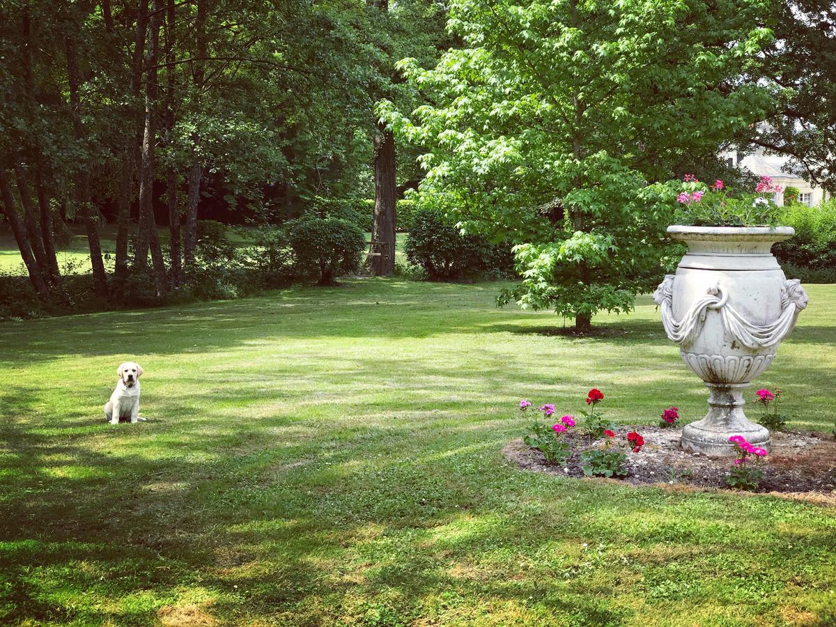 Chambre D'Hote Manoir De Clairbois Larcay Екстериор снимка